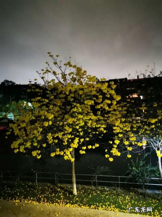 娱乐圈哪些星二代过的最悲催