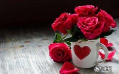 乳腺增生可以喝什么类型的茶饮