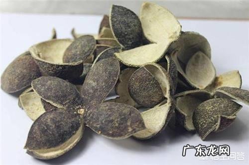 乳腺增生可以喝什么类型的茶饮