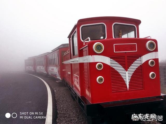 如何在一年内读完100本书