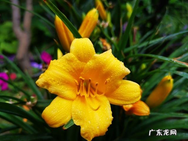 友们,有什么方法把自己的粉丝在一个月内增到十万你的多少了