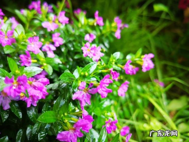 友们,有什么方法把自己的粉丝在一个月内增到十万你的多少了