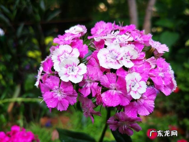 友们,有什么方法把自己的粉丝在一个月内增到十万你的多少了