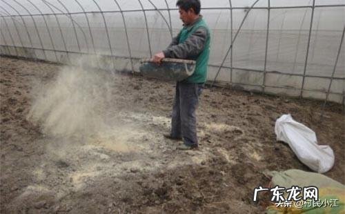 你知道为什么土地越施肥,为什么土地会越来越瘦吗