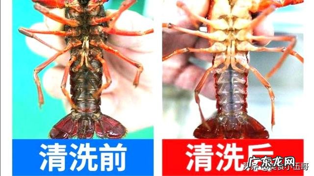 又到了吃小龙虾的季节,吃小龙虾要注意些什么呢