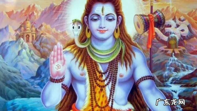 请问阿米尔汗的电影《摔跤吧爸爸》、《三傻大闹宝莱坞》怎么样