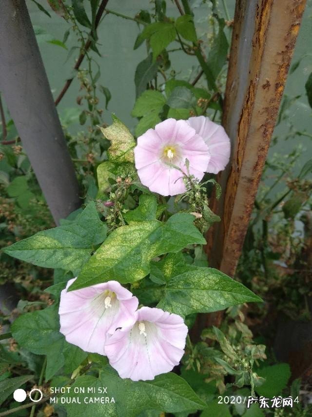 关注十几个,粉丝却上百万是怎么做到的的