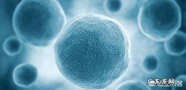 血糖、胰岛素高吃什么药好