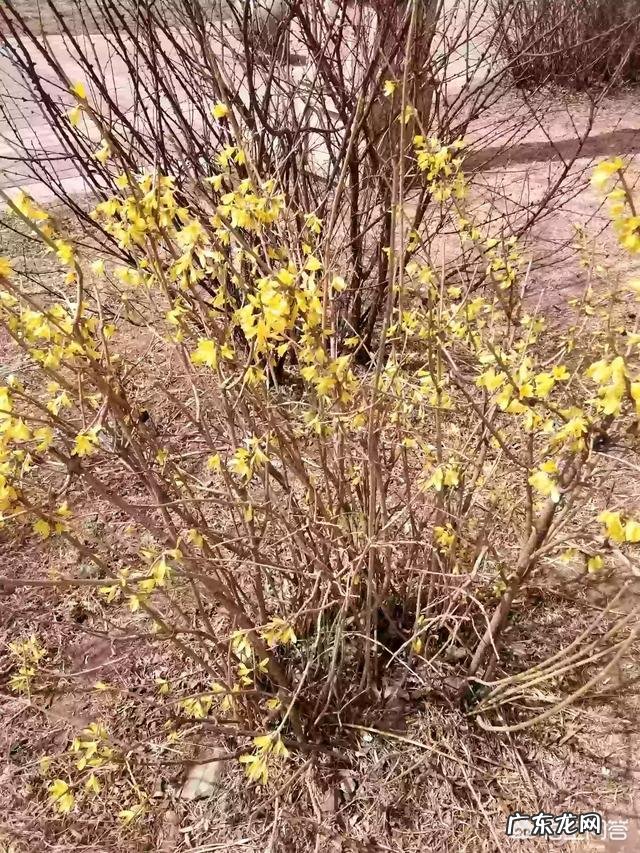 女性在经期能吃止血的食物吗有哪些需要注意的问题