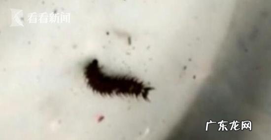 巫蛊真的存在吗8岁幼童疑似中了蛊毒