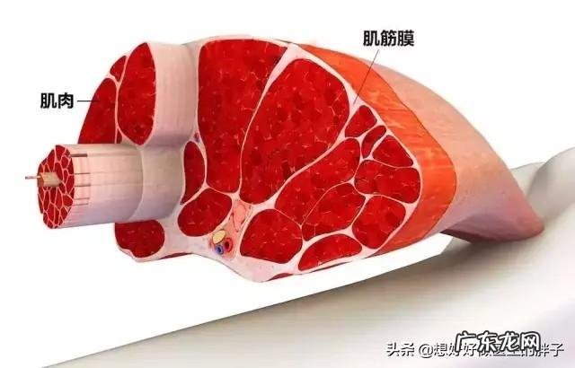 腰背筋膜炎谁有好的zhi疗方法