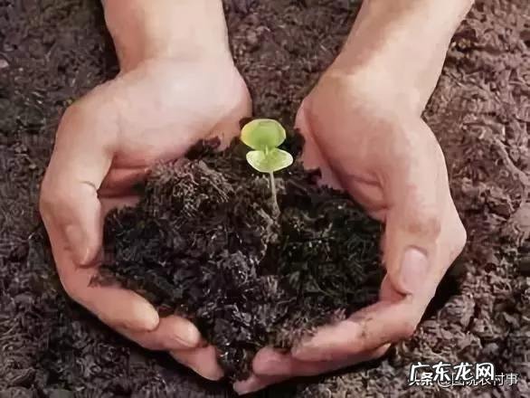 生物菌肥能不能和复合肥一起使用