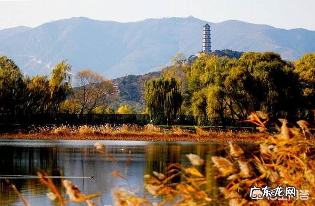 清朝皇帝喝什么酒有什么依据吗