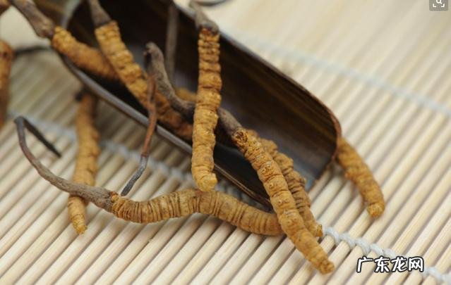 都说是药三分毒,保健品不zhi病,为什么还有很多人相信保健品