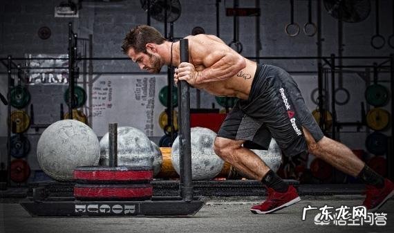 低脂、低热量的高蛋白粮食有哪些