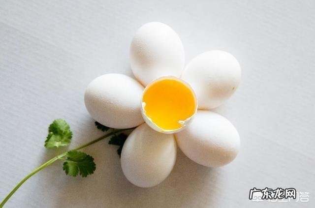 低脂、低热量的高蛋白粮食有哪些