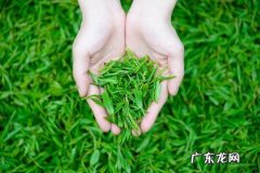 二十四节气亲子课程 二十四节气小儿推拿保健