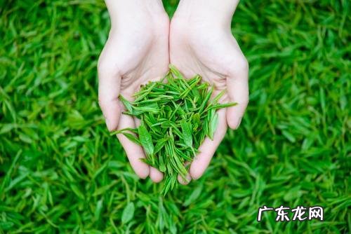 二十四节气亲子课程 二十四节气小儿推拿保健