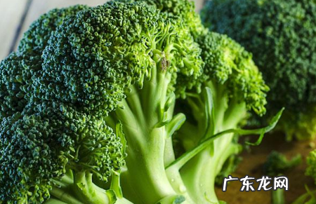 戒糖21天减肥的菜有哪些