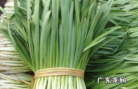 戒糖21天减肥的菜有哪些