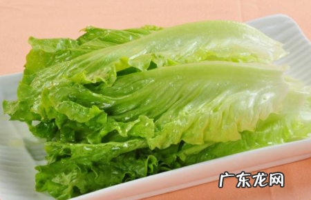 戒糖21天减肥的菜有哪些