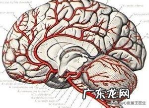 阿司匹林能不能和降压药一起服用有什么注意事项