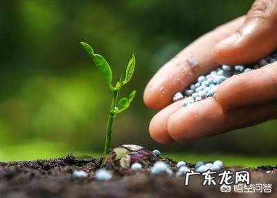微生物肥料是个好东西,怎样才不被“忽悠”