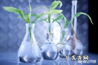 微生物肥料是个好东西,怎样才不被“忽悠”