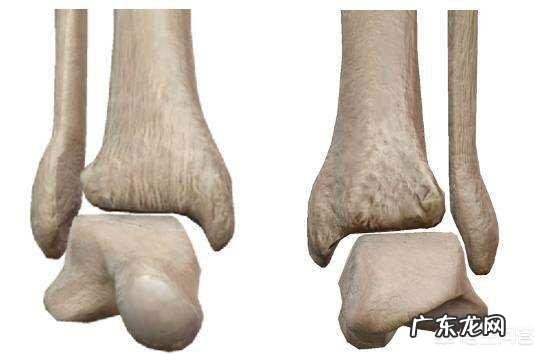 脚踝骨折手术后多长时间可以再进行康复训练