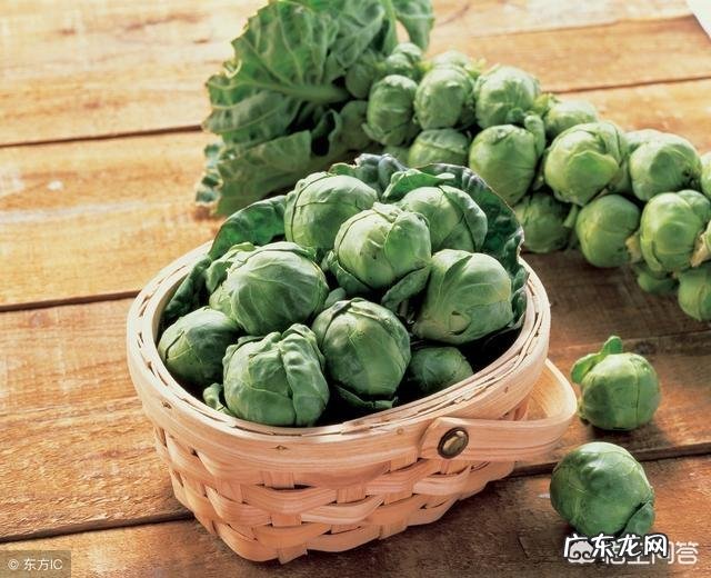 有什么方法可靠锻炼与控制饮食达到减肥塑性