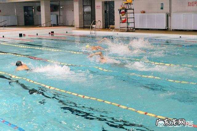 有一定基础的条件下如何游泳减脂呢