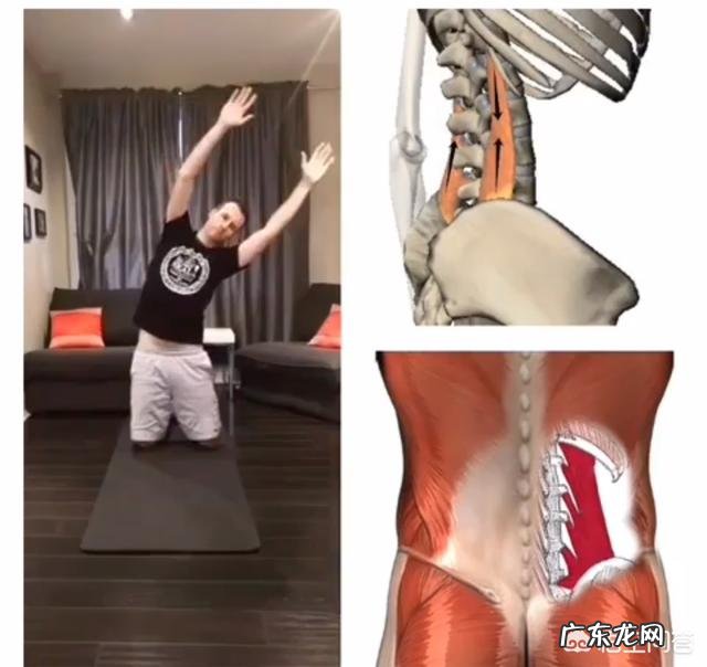 在健身房如何锻炼缓解腰肌劳损