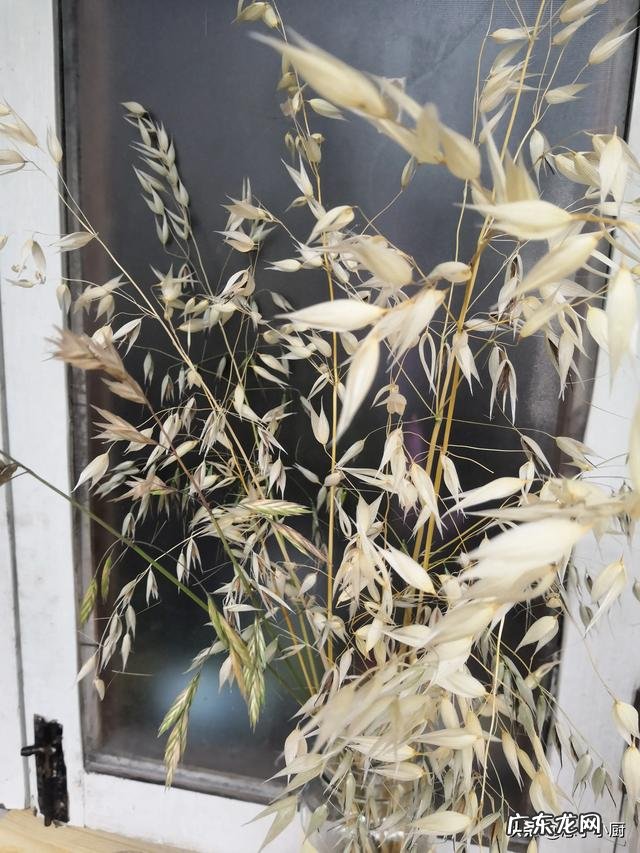 13岁女孩叛逆，晚上偷偷玩手机到12:00怎么办