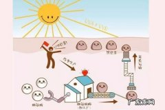 黑色素、褪黑素是一样的吗，有什么区别呢