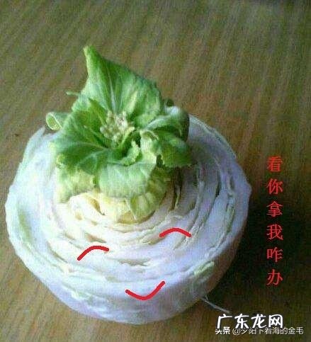 你会把大白菜的菜梗和菜叶分开做吗它们分别有什么做法