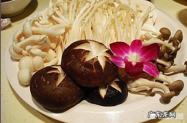 乳腺增生患者平时吃什么食物比较好