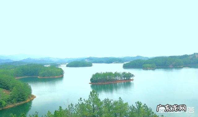 夜晚适合读书,但熬夜会把身体拖垮,该怎么办