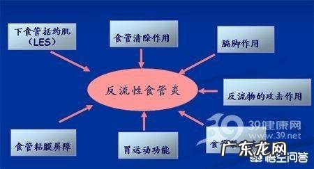 得了反流性食道炎是一种什么样的体验