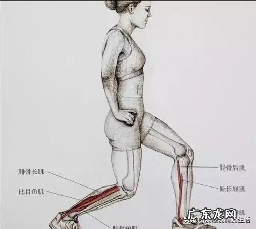 肌肉型小腿怎样才能变细长