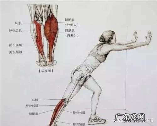 肌肉型小腿怎样才能变细长