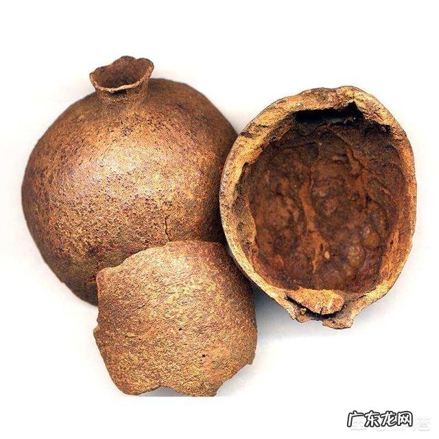 肉鸡增肥的饲喂方法有哪些