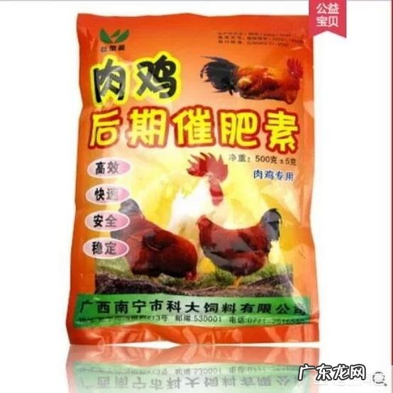 肉鸡增肥的饲喂方法有哪些