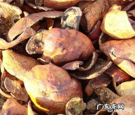肉鸡增肥的饲喂方法有哪些
