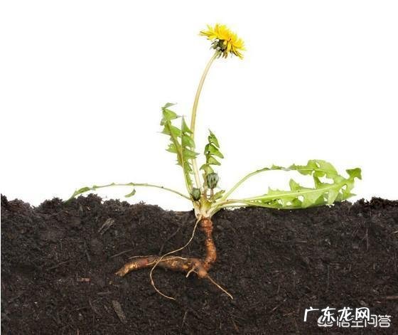 哺乳期6个月内堪称“恢复黄金期”,如何把握时机减脂不减奶