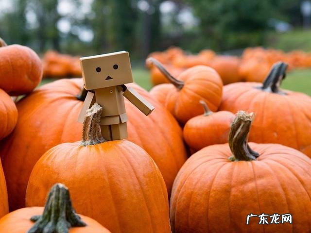 糖尿病人可以不可以吃南瓜