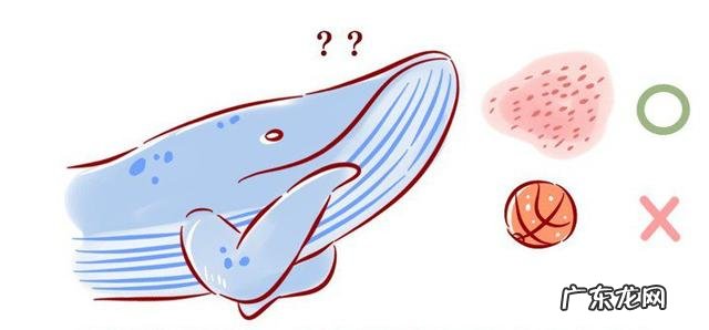 一个人被鲸鱼吞进肚子,为什么手里有刀,也无法破腹逃出来