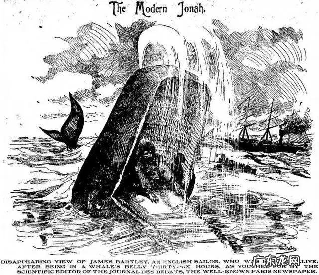 一个人被鲸鱼吞进肚子,为什么手里有刀,也无法破腹逃出来
