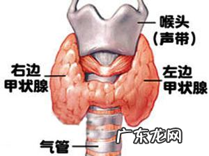 体重突然轻了很多是什么原因