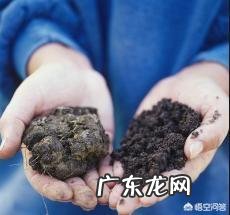 农用地衣芽孢杆菌的功能是不是骗人的