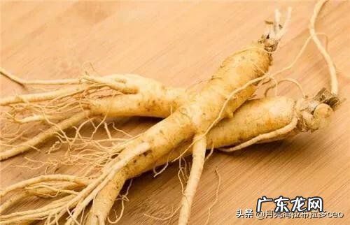 2020有什么电视剧好看